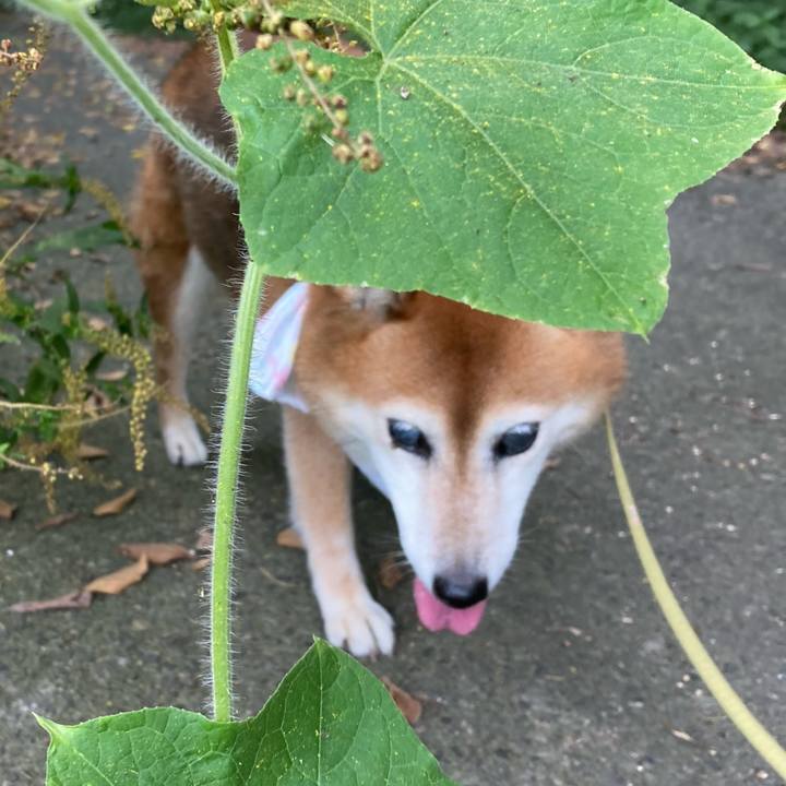 3f7b760d 02bc 4f1e b6af f54a62a48d21 1694776412819