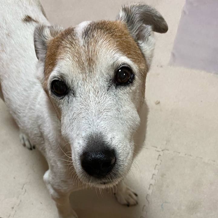 3f7beab9 6af4 4871 ac5d 4307220f613d 1626301612632