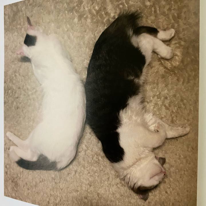 3f7c2a95 a8c5 4f36 95a3 26eae962cfd3 1663370490898