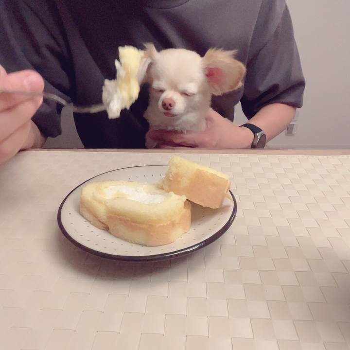 3f7c2aeb e025 48e0 acc9 057f2df0532c 1687853517645