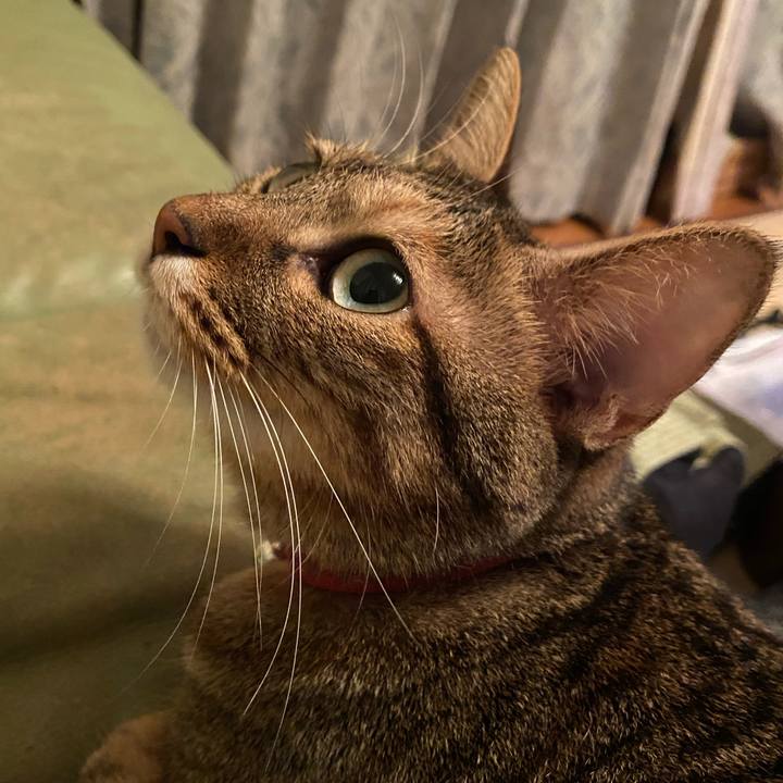 3f7c3c8e 2e7a 4f7d 8cdf 35ea0db138ce 1633356210182