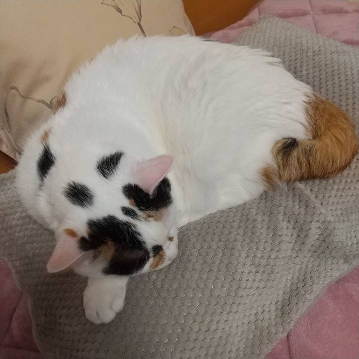 3f7c416c edeb 4666 8d7e c392b34bb378 1673621436294