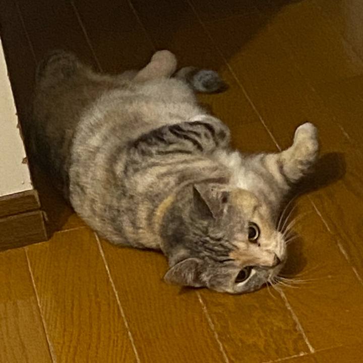 3f7c6269 6ba0 4e0a adf7 ac56fd38af42 1659010948968