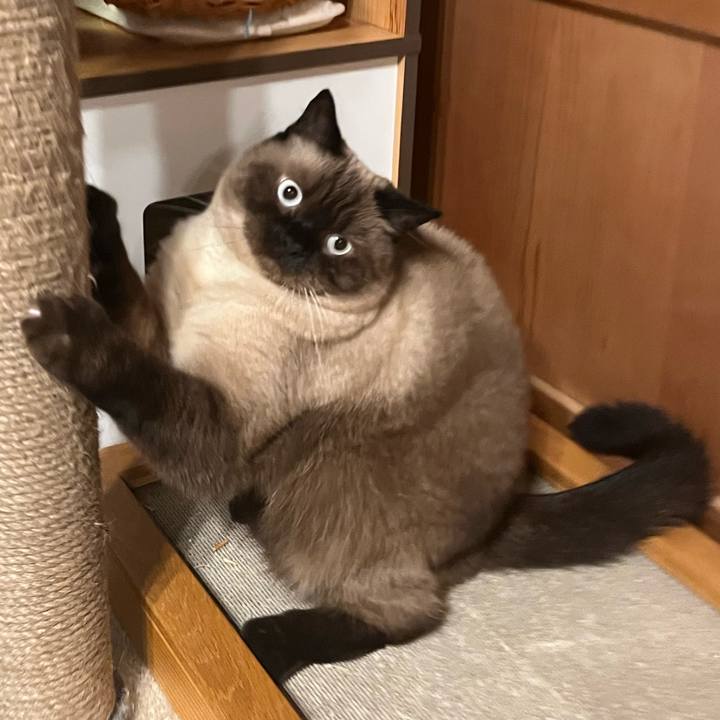 3f7c9627 e0d6 47a0 9724 90289043eaf1 1662859673353