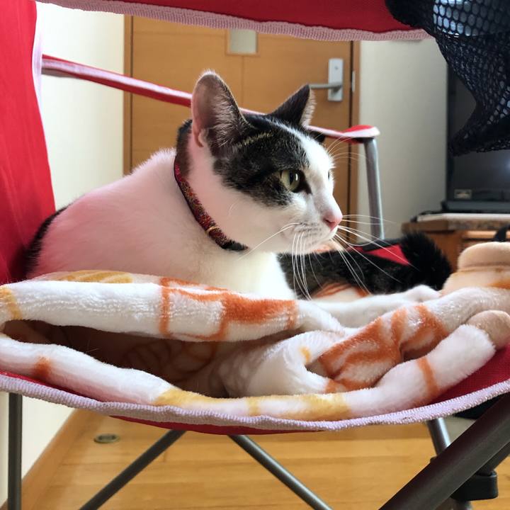 3f7cab32 ed5a 45b1 a4ea 1a53fcec4904 1633329859577