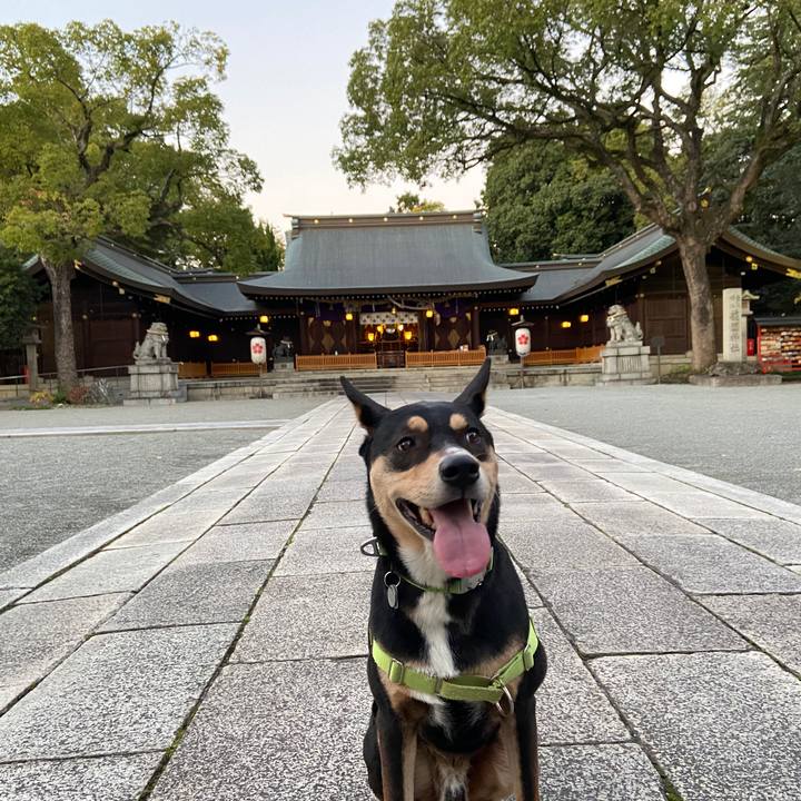 3f7cb878 8f5b 4a10 8a9c 61e6493d9721 1636942401628