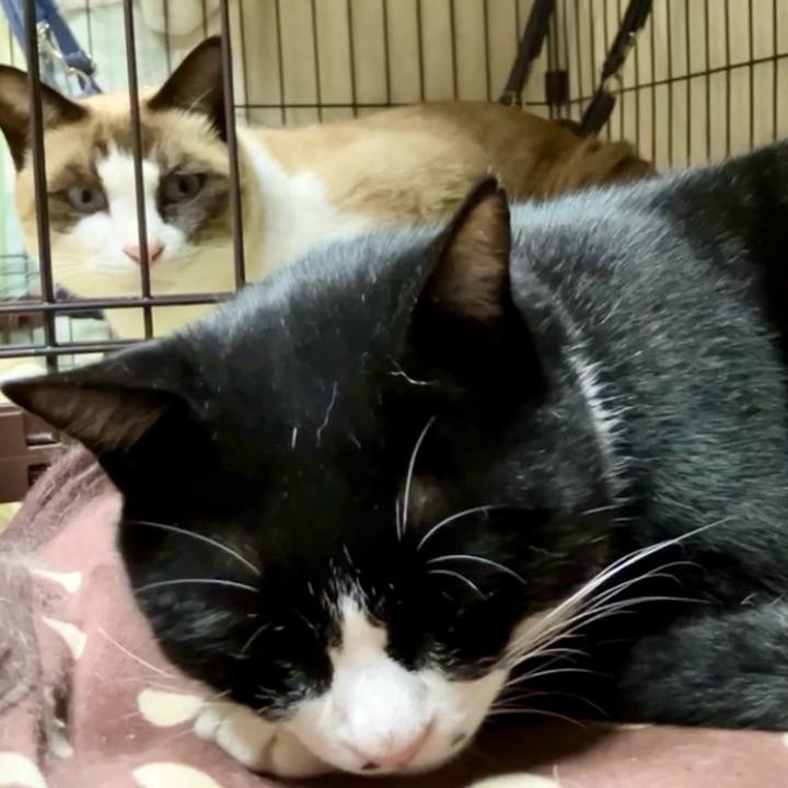 3f7cbc96 27f9 47fc b763 b8b680ab1fe5 1733132253359