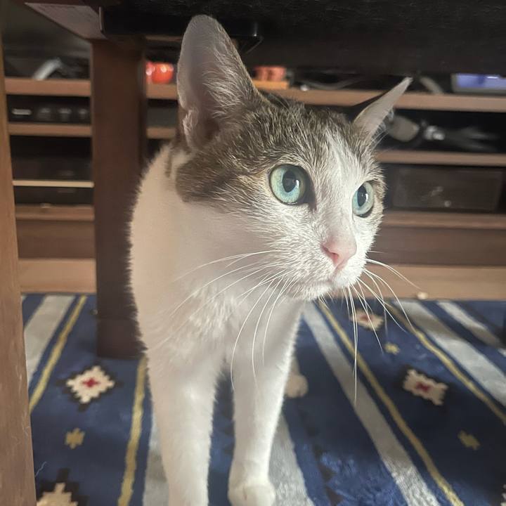 3f7cc075 6bfb 42f0 94e5 c468302f3b1e 1624769326027