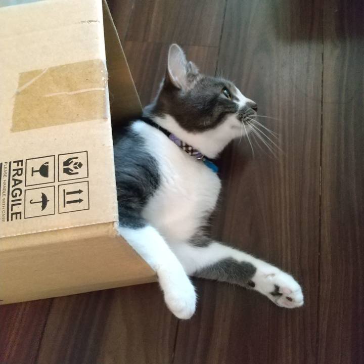 3f7cc3d6 ca15 4eb6 8ca2 7263fac44108 1601421959297