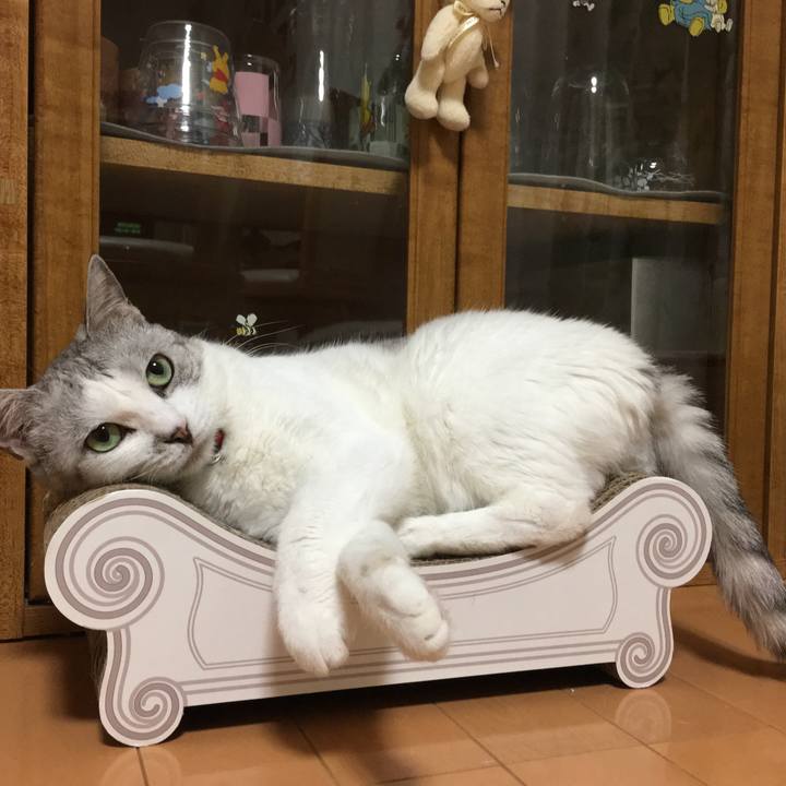 3f7cd862 69b5 4854 ac15 0524bacbdd1d 1525436542409