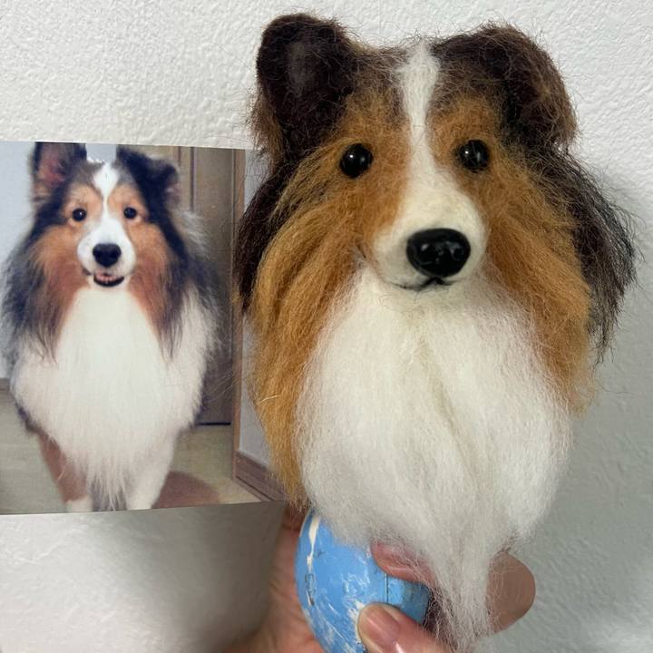 3f7cf1a2 cfb8 4483 8fdb c9307c2725ce 1724385311278