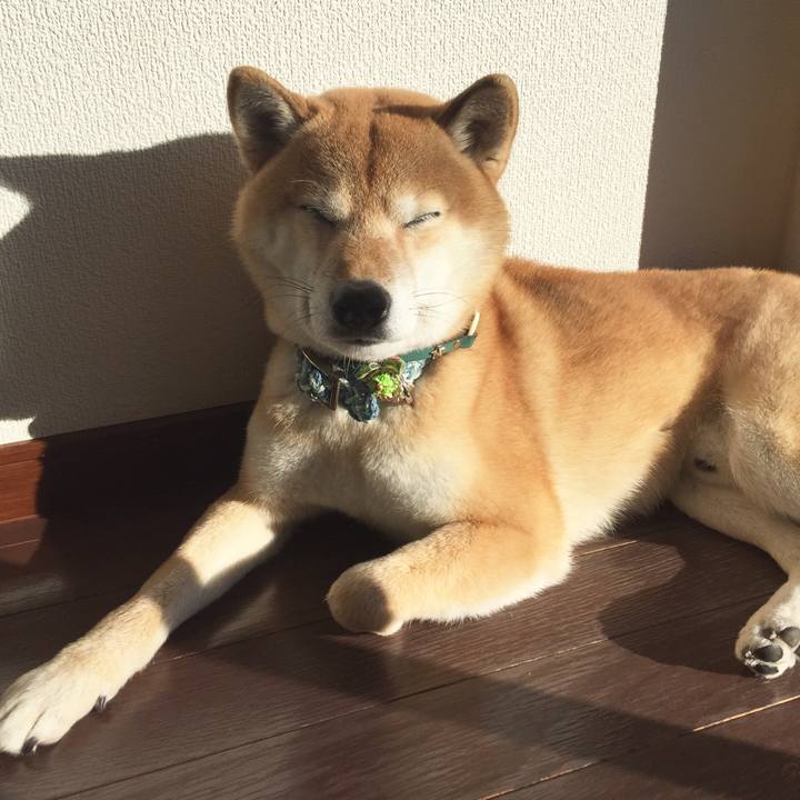 3f7cff43 45aa 4036 840f d091f895fc8b 1514336828690