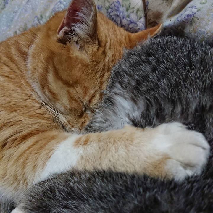 3f7d179c 98e9 45a0 8b65 f0189f2b331c 1579959363465