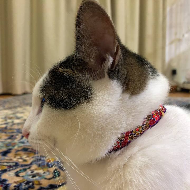 3f7d1c3c edce 4749 95c8 56b4de96431d 1630065687068