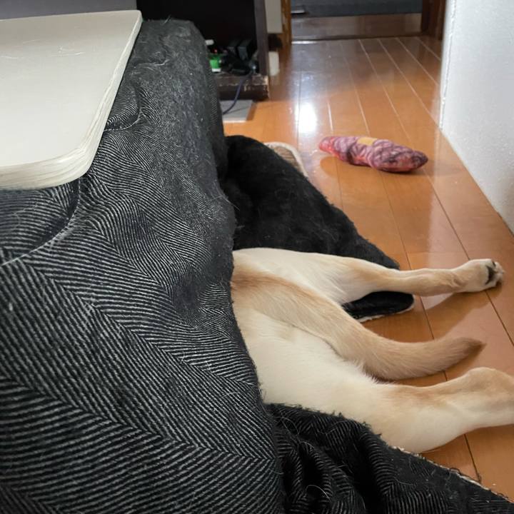 3f7d28c3 65e3 478c b5ff 1a371524c1d7 1642652491397