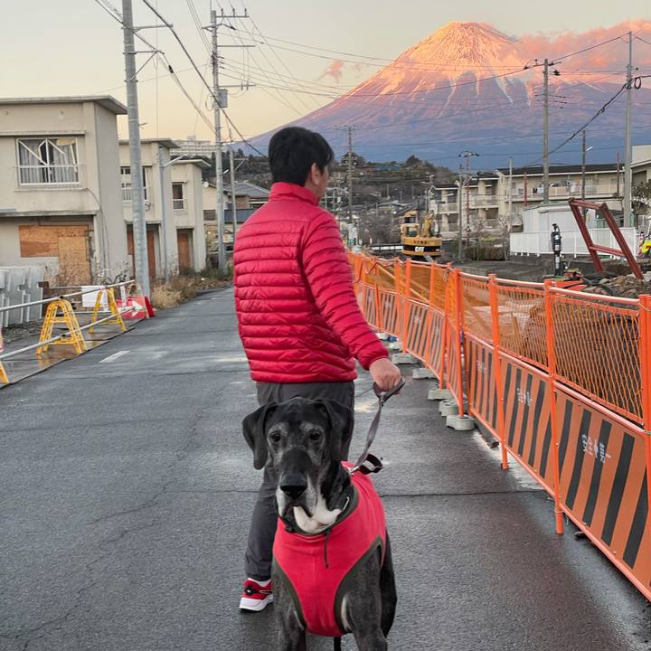 3f7d375f 9bd6 4e11 b51b 6146cdc4ae2b 1612003333344