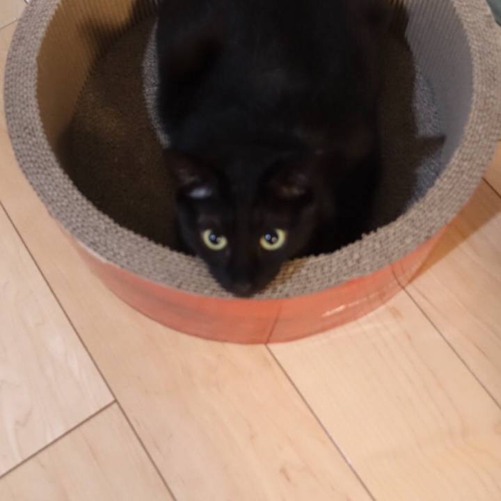 3f7d462b 0d9c 48a5 aa50 6c709bb572b5 1521113899106