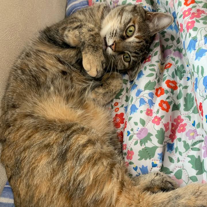 3f7d4cad 2063 428c b819 c45e80b38092 1660696847509