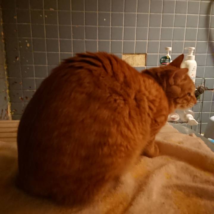 3f7d4ebf d8c4 4f87 85b1 7ed3c7d9b569 1641113559474