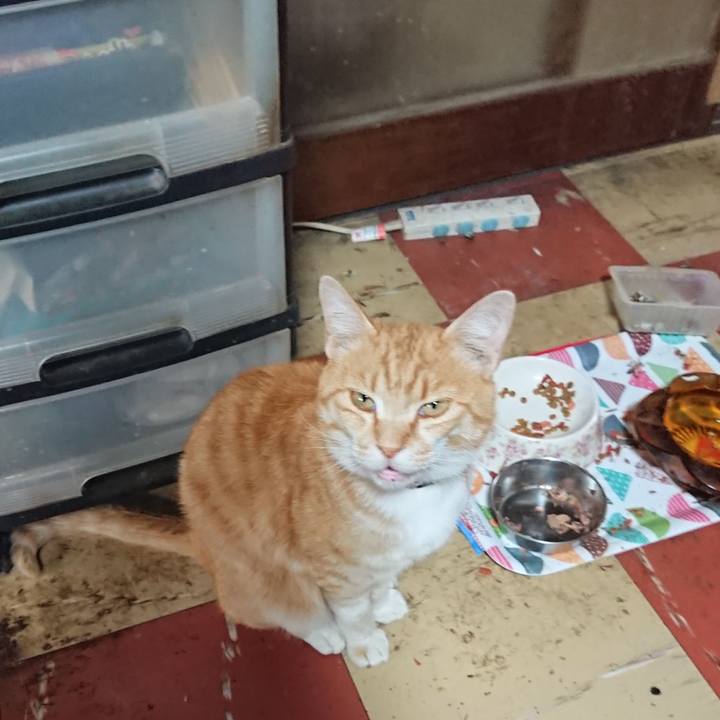 3f7d63a4 3463 4a84 8f55 dcc87a74fadc 1589699042630