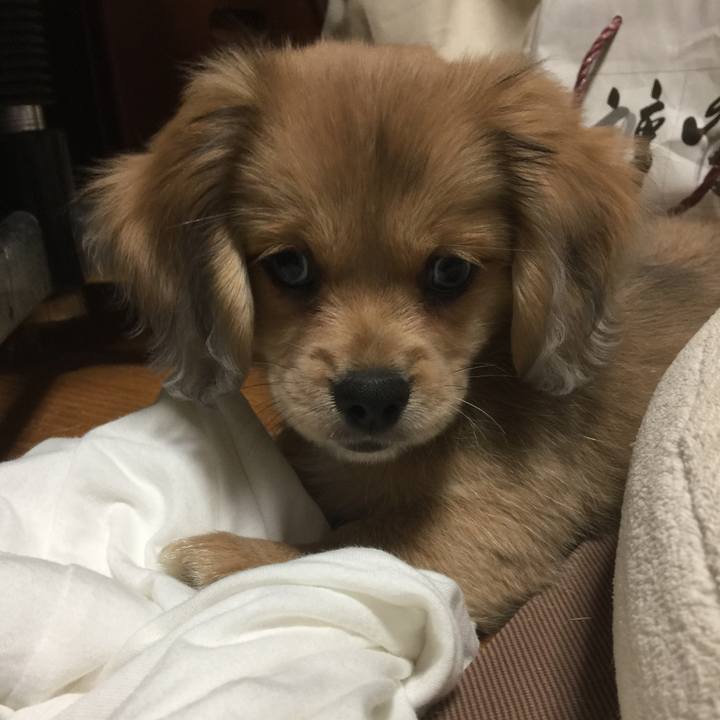 3f7d8774 c10a 402e bd2a 8642efef380d 1602932947369