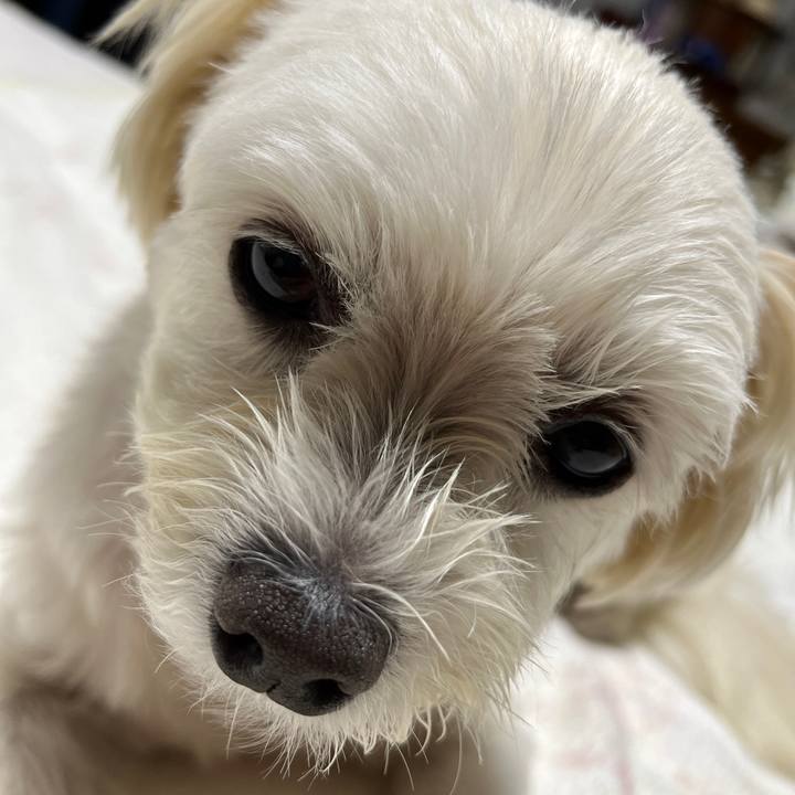 3f7d94f4 064c 40a2 b09f 9e3adabb84b5 1664023532503