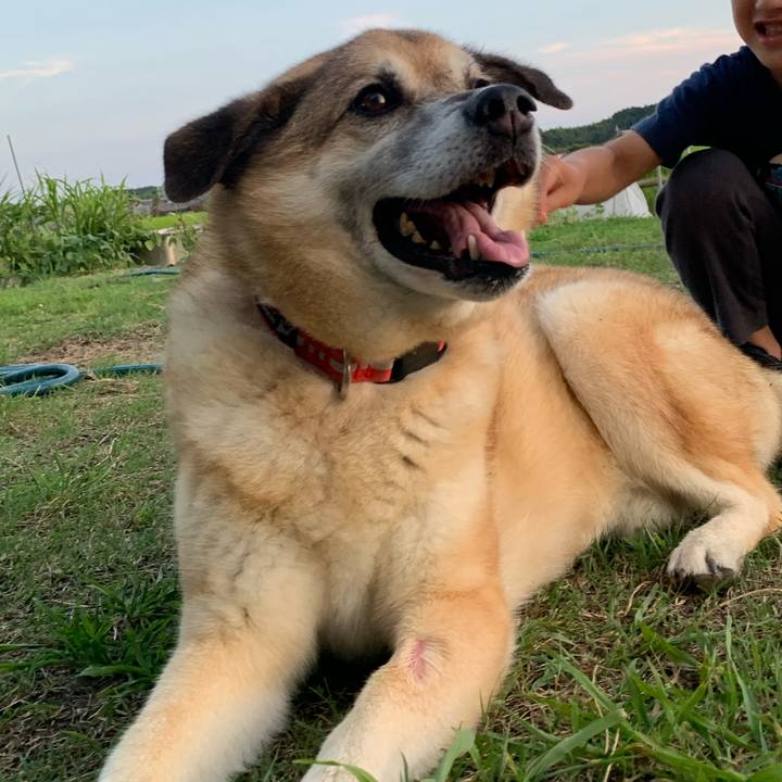 3f7dd493 7c61 4d17 89b5 3c46ca490714 1627035625508