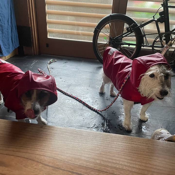 3f7e194f d064 4fe5 9ceb b63a607be2be 1726357269366