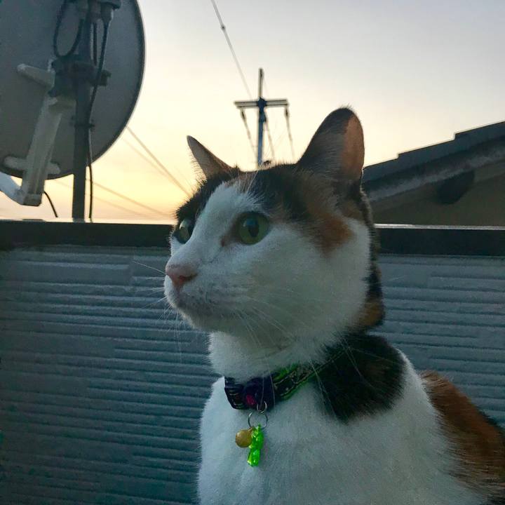 3f7e211e c470 48e3 bae9 42e252918180 1510648402621