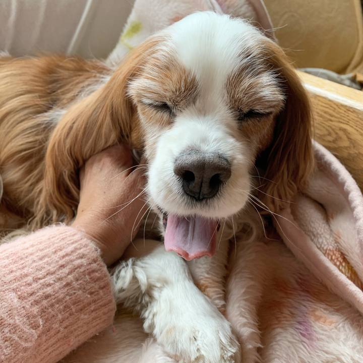 3f7e2c73 c0bd 42c3 8e37 0992e1183a24 1583463106252