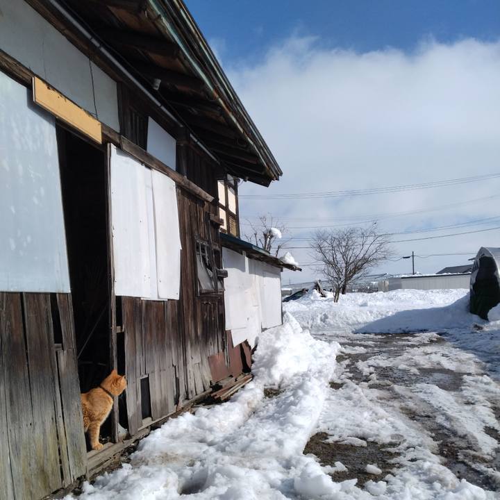 3f7e3efd a1a1 4b35 8193 c50c0a6a64d7 1736738895576