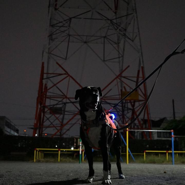 3f7e53d5 6ca1 4295 afbe fce44872b266 1760441338008