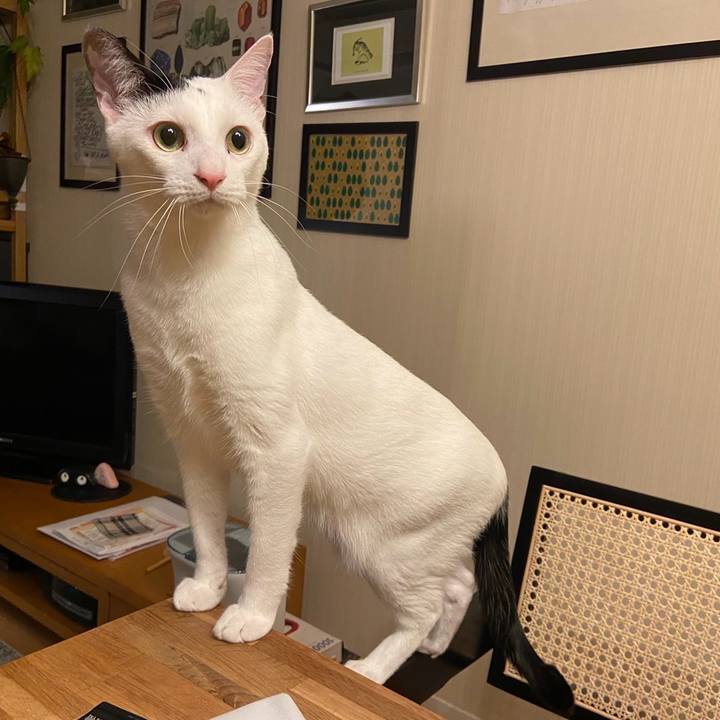 3f7e5b2c 66a1 4f41 9bb3 d212ad9fe8eb 1708094307837