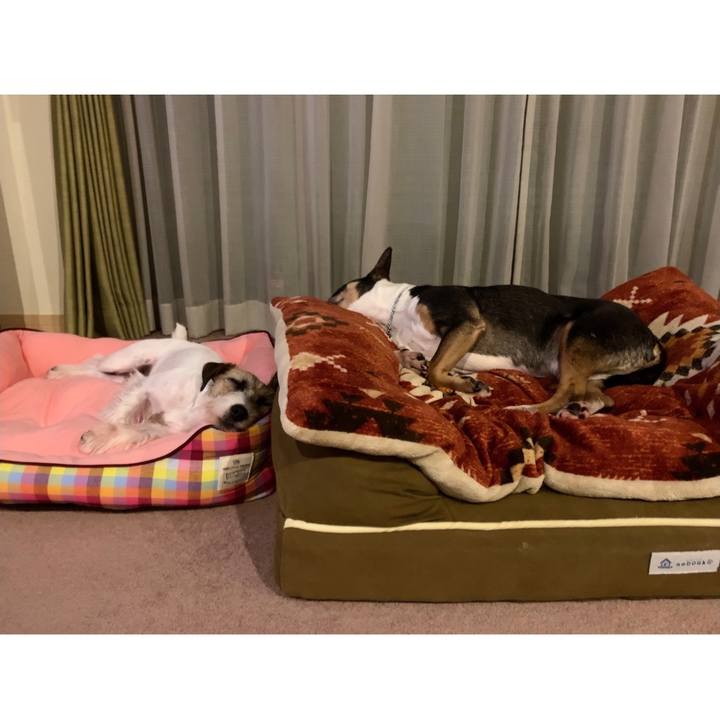 3f7e791d 6582 4ef6 875b 198e24f2a496 1597153825393