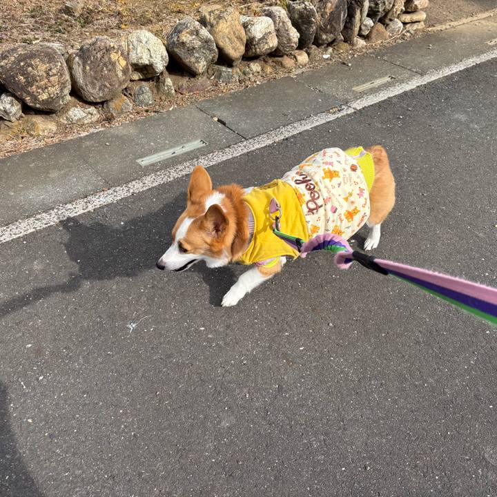 3f7ec3ac 1bcc 434e be4d c3de5aa0fe9f 1769671051061