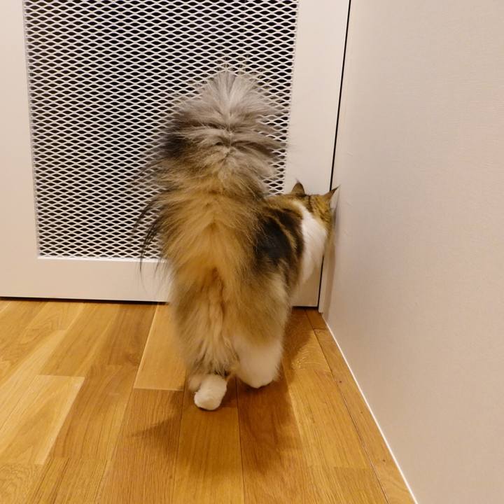 3f7f1ea6 251f 4811 9fe5 1e1d8e2284ac 1585668728611