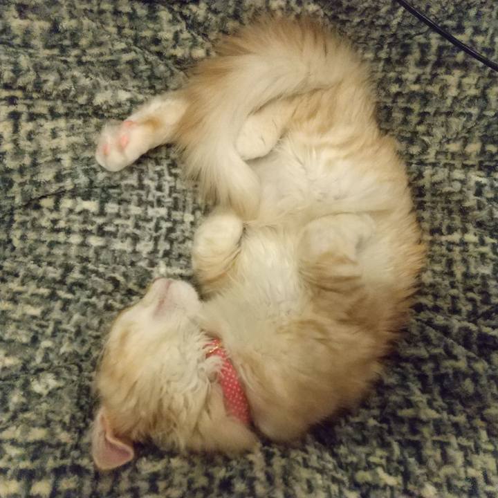 3f7f3969 fa80 4084 8b0f c220201b995f 1607694643959