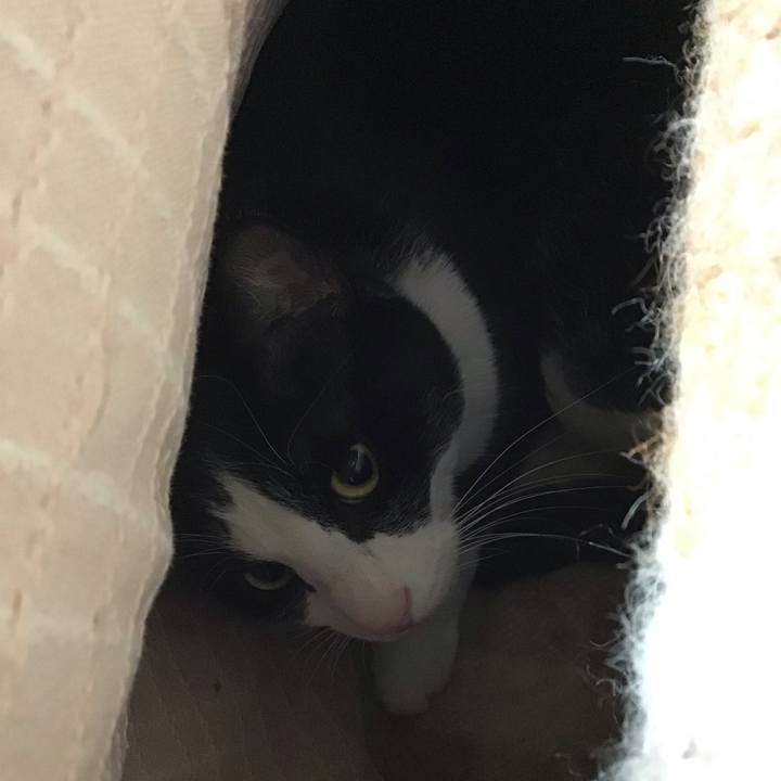 3f7f5018 7d78 4d60 96c4 836bb49b5371 1739612892524