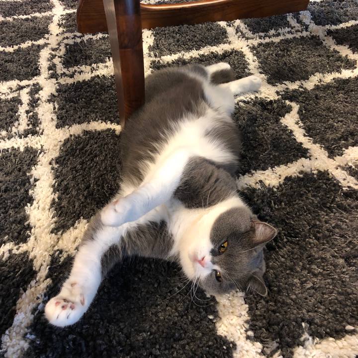 3f7f74cd 4d47 4e4f 848a a61f484e0a83 1574649099010