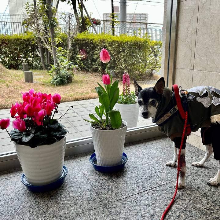 3f7f7811 5c71 46ee a259 2d47567a016f 1644714382033