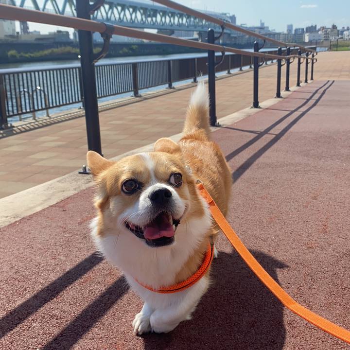 3f7fac1a 5eba 409e a2e5 a1e54da72323 1697080052510