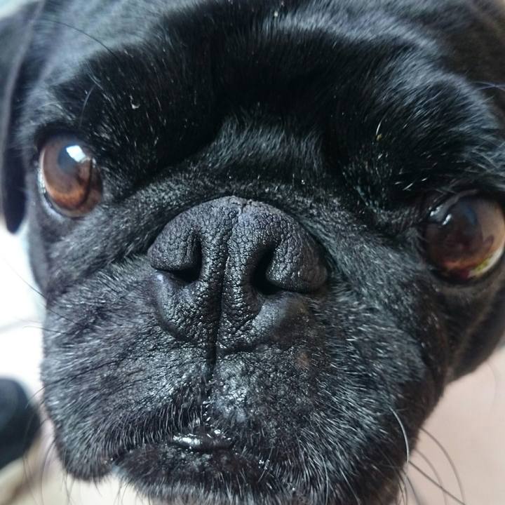 3f7faf10 e7f3 47d2 a177 c9ea2dc69a08 1524409875615
