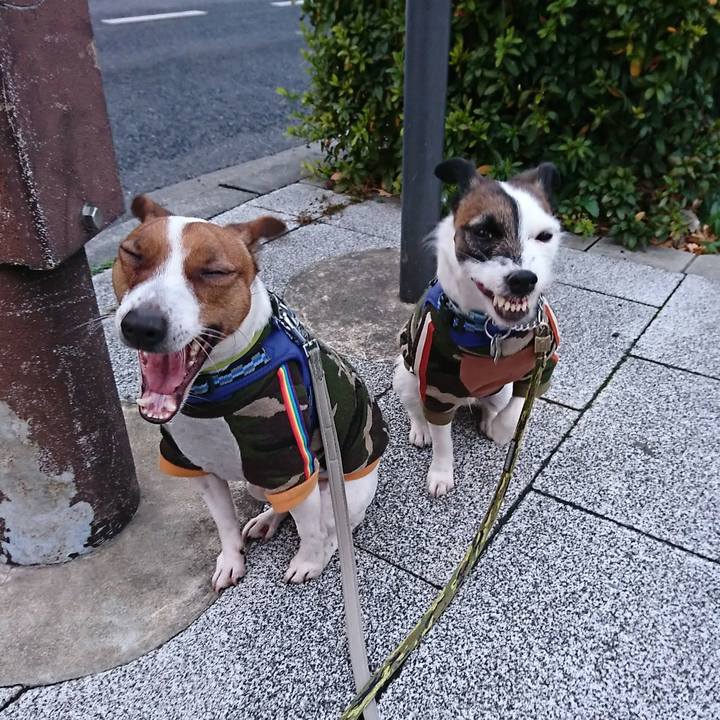 3f7fbe99 9ef4 46a6 a313 6c0abfa2865c 1580077235462