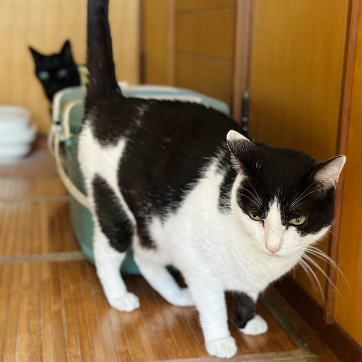 3f7fd108 ac63 4b8a a55d baea469d2666 1722131708601