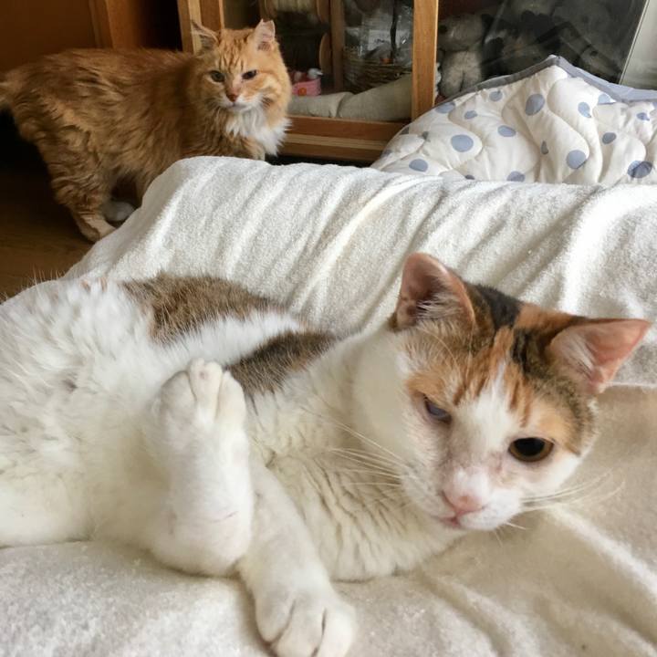 3f8037ff 5a2b 4023 bc1b 4414ef52ced6 1624494333086