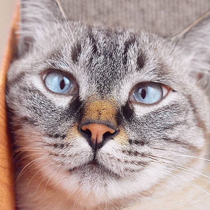 3f805fd5 8c1b 4ac9 8a53 8158e17a0e48 1569758461637