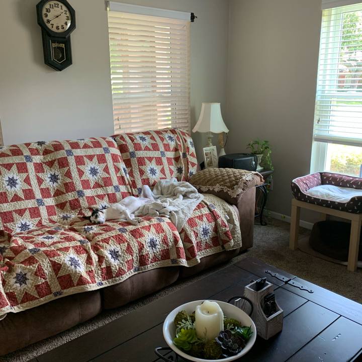 3f806bd7 a07b 4a19 9c34 ace5f5fcc42d 1597529746028