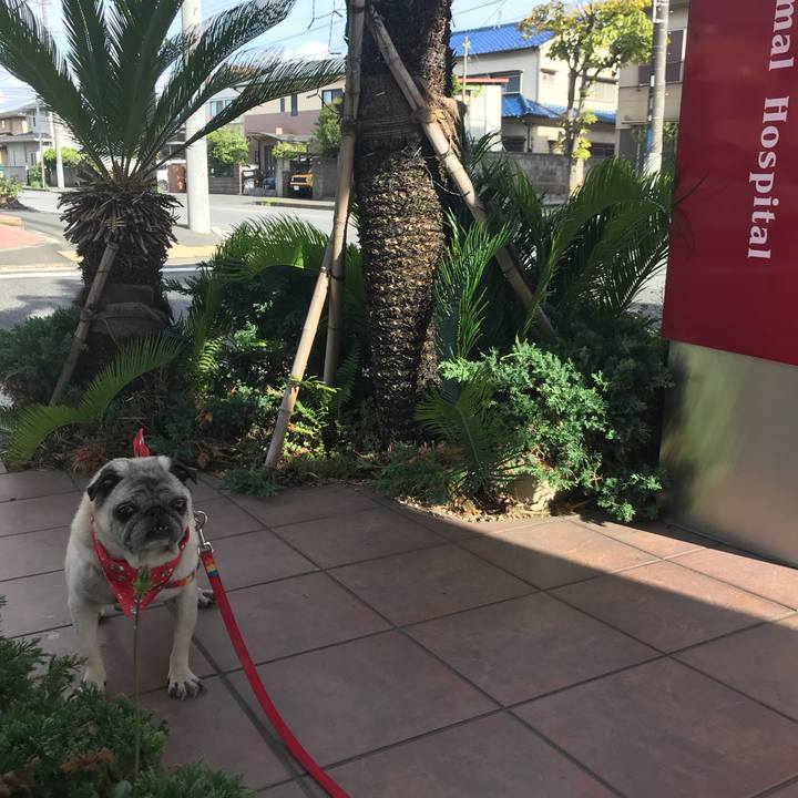 3f807d84 160c 4b8e 9c0e c1eb761ceb5c 1534604070977