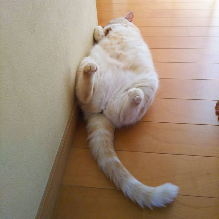 3f80857f cff3 4b8b be35 a473744a4749 1528787699141