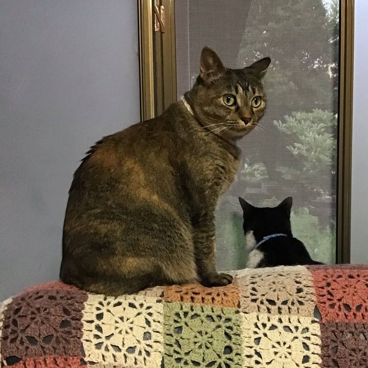 3f80a73d ee13 4e43 9f2c 8d044d5fdc51 1719742123331